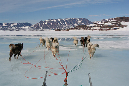Sled on wet ice , image by Nanu Travel