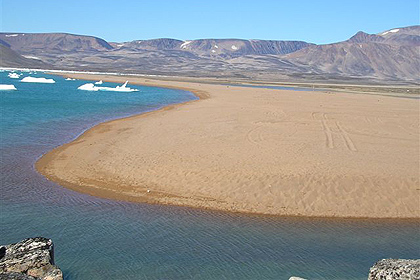 Walrus bay , Ittoqqortoormiit , image by Nanu Travel